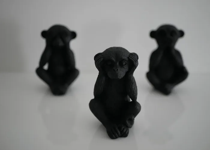 Le Tre Scimmiette Chic *